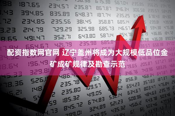 配资指数网官网 辽宁盖州将成为大规模低品位金矿成矿规律及勘查示范
