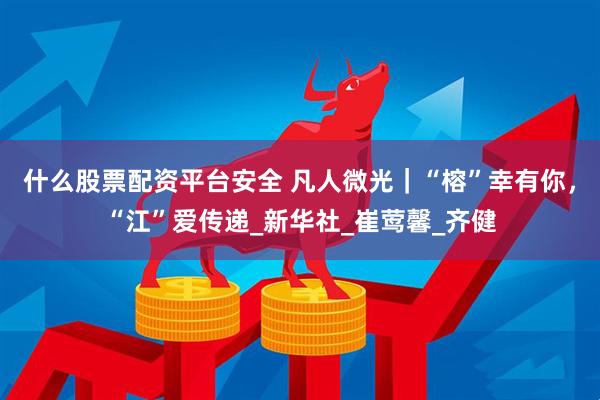 什么股票配资平台安全 凡人微光｜“榕”幸有你，“江”爱传递_新华社_崔莺馨_齐健